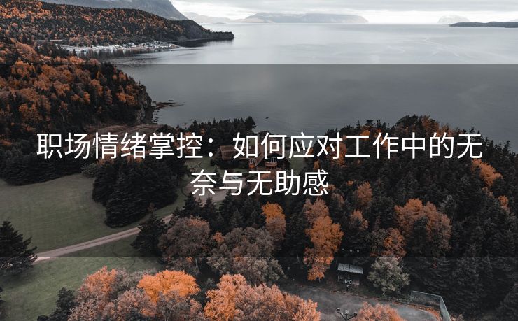 职场情绪掌控：如何应对工作中的无奈与无助感