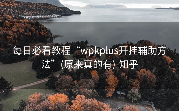 每日必看教程“wpkplus开挂辅助方法”(原来真的有)-知乎