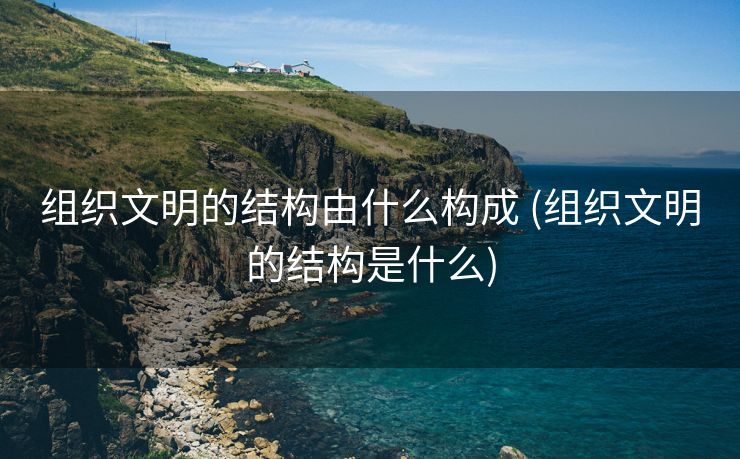 组织文明的结构由什么构成 (组织文明的结构是什么)