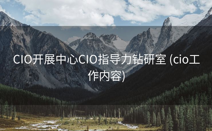 CIO开展中心CIO指导力钻研室 (cio工作内容)