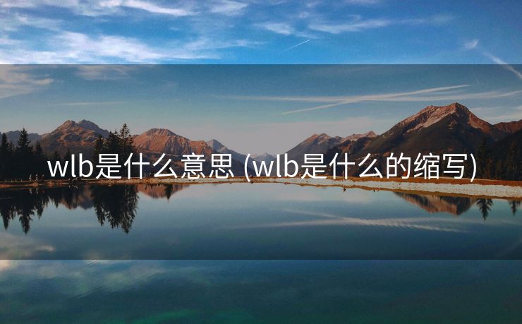 wlb是什么意思 (wlb是什么的缩写)