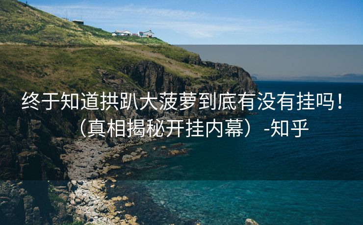 终于知道拱趴大菠萝到底有没有挂吗！（真相揭秘开挂内幕）-知乎