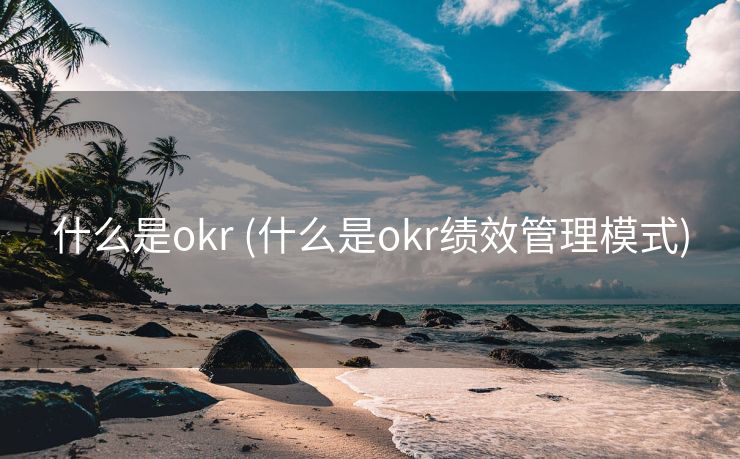 什么是okr (什么是okr绩效管理模式)