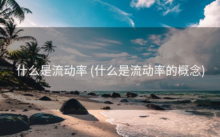 什么是流动率 (什么是流动率的概念)