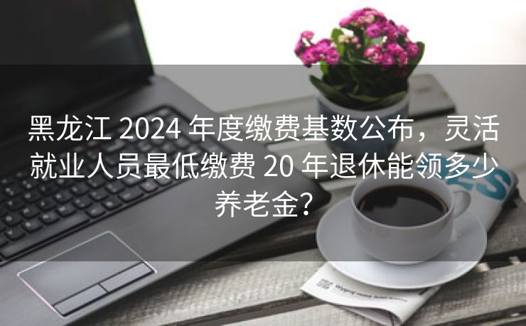 黑龙江 2024 年度缴费基数公布，灵活就业人员最低缴费 20 年退休能领多少养老金？