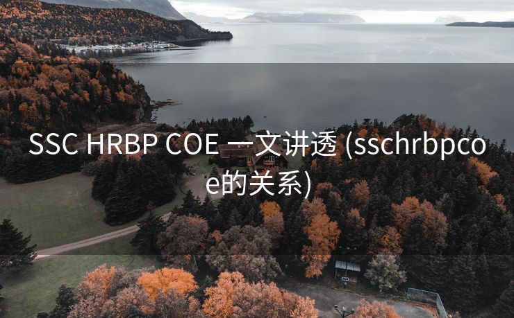 SSC HRBP COE 一文讲透 (sschrbpcoe的关系)