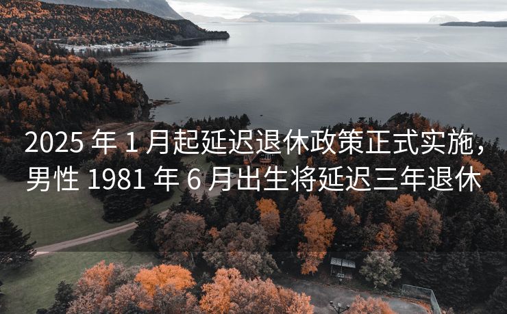 2025 年 1 月起延迟退休政策正式实施，男性 1981 年 6 月出生将延迟三年退休