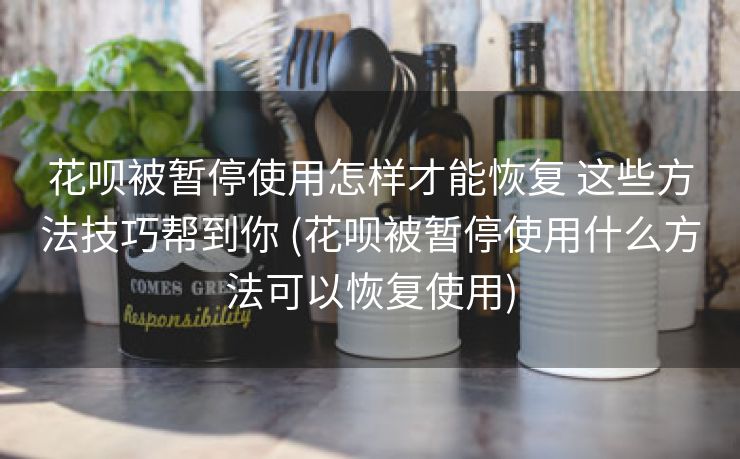 花呗被暂停使用怎样才能恢复 这些方法技巧帮到你 (花呗被暂停使用什么方法可以恢复使用)