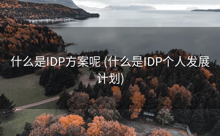 什么是IDP方案呢 (什么是IDP个人发展计划)