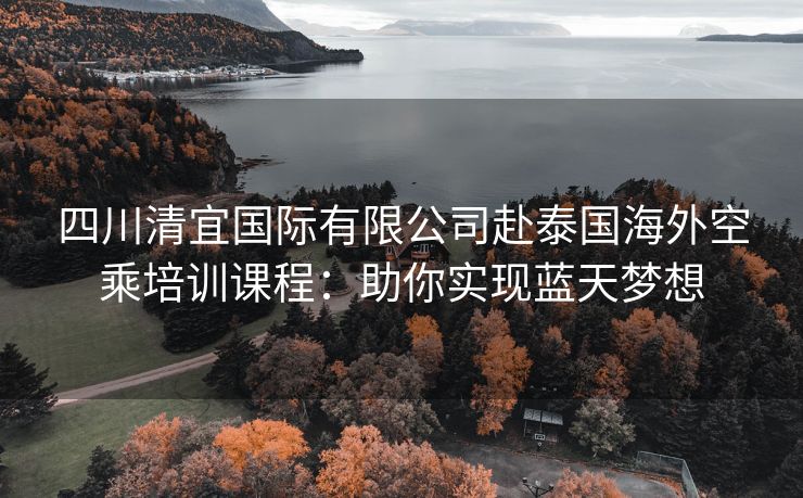 四川清宜国际有限公司赴泰国海外空乘培训课程：助你实现蓝天梦想