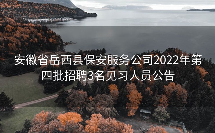 安徽省岳西县保安服务公司2022年第四批招聘3名见习人员公告