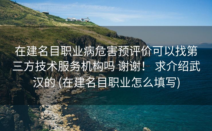 在建名目职业病危害预评价可以找第三方技术服务机构吗 谢谢！ 求介绍武汉的 (在建名目职业怎么填写)