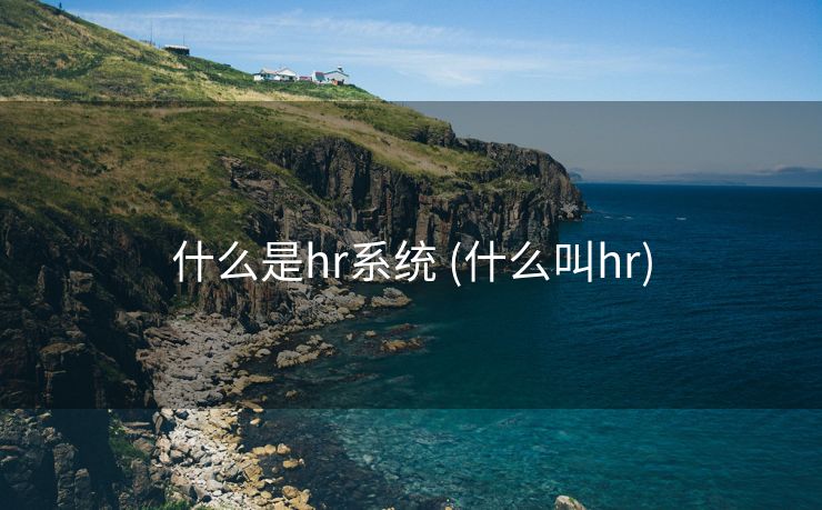 什么是hr系统 (什么叫hr)