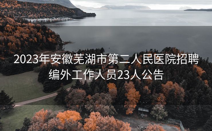 2023年安徽芜湖市第二人民医院招聘编外工作人员23人公告