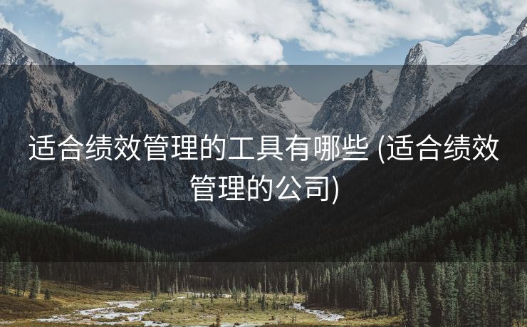 适合绩效管理的工具有哪些 (适合绩效管理的公司)