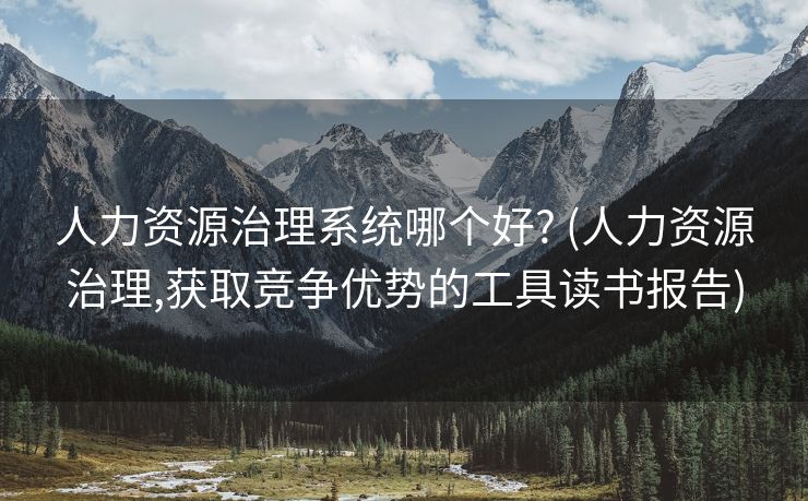 人力资源治理系统哪个好? (人力资源治理,获取竞争优势的工具读书报告)