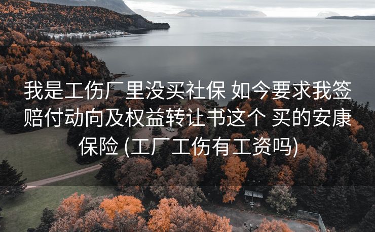 我是工伤厂里没买社保 如今要求我签赔付动向及权益转让书这个 买的安康保险 (工厂工伤有工资吗)