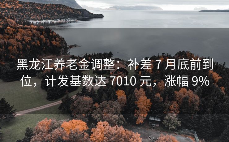 黑龙江养老金调整：补差 7 月底前到位，计发基数达 7010 元，涨幅 9%