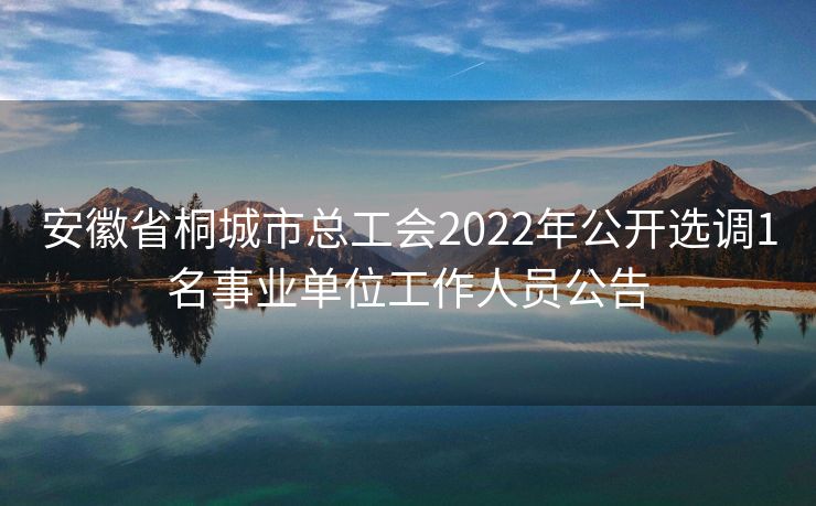 安徽省桐城市总工会2022年公开选调1名事业单位工作人员公告