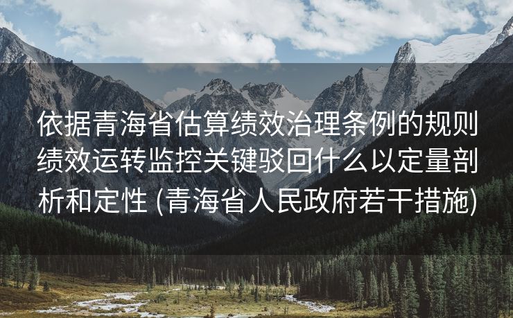 依据青海省估算绩效治理条例的规则绩效运转监控关键驳回什么以定量剖析和定性 (青海省人民政府若干措施)