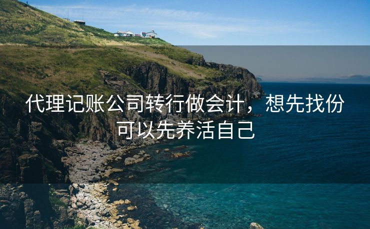 代理记账公司转行做会计，想先找份可以先养活自己