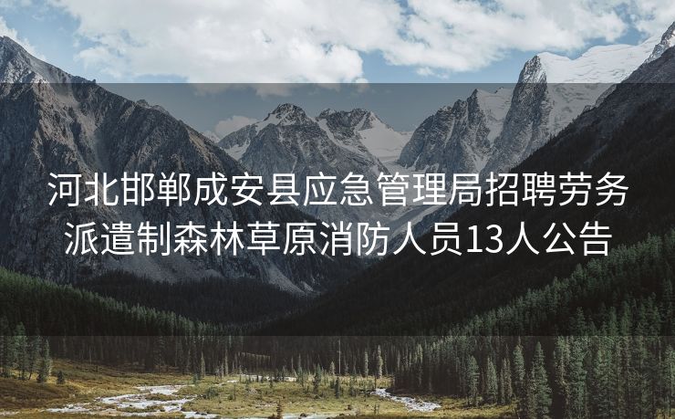 河北邯郸成安县应急管理局招聘劳务派遣制森林草原消防人员13人公告