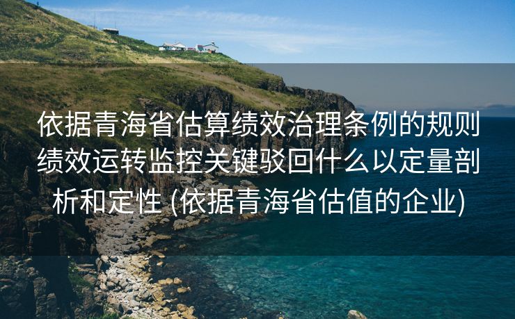 依据青海省估算绩效治理条例的规则绩效运转监控关键驳回什么以定量剖析和定性 (依据青海省估值的企业)