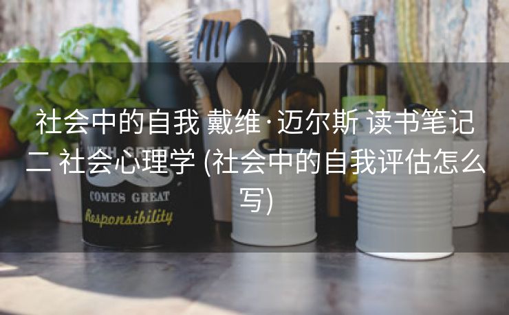 社会中的自我 戴维·迈尔斯 读书笔记二 社会心理学 (社会中的自我评估怎么写)