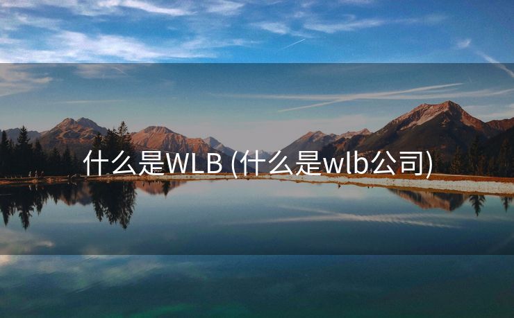 什么是WLB (什么是wlb公司)