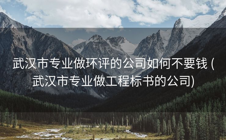 武汉市专业做环评的公司如何不要钱 (武汉市专业做工程标书的公司)