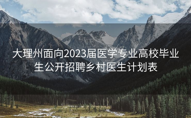 大理州面向2023届医学专业高校毕业生公开招聘乡村医生计划表