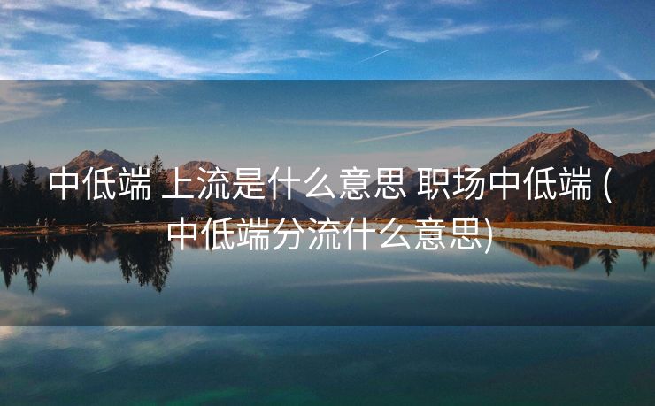 中低端 上流是什么意思 职场中低端 (中低端分流什么意思)