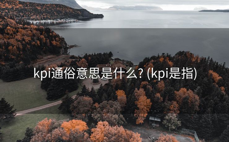 kpi通俗意思是什么? (kpi是指)