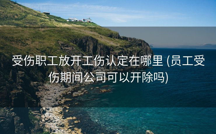 受伤职工放开工伤认定在哪里 (员工受伤期间公司可以开除吗)