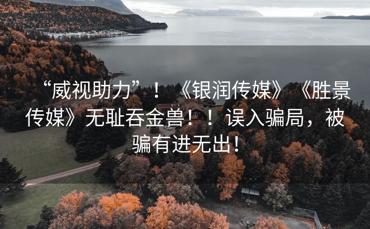 “威视助力”！《银润传媒》《胜景传媒》无耻吞金兽！！误入骗局，被骗有进无出！