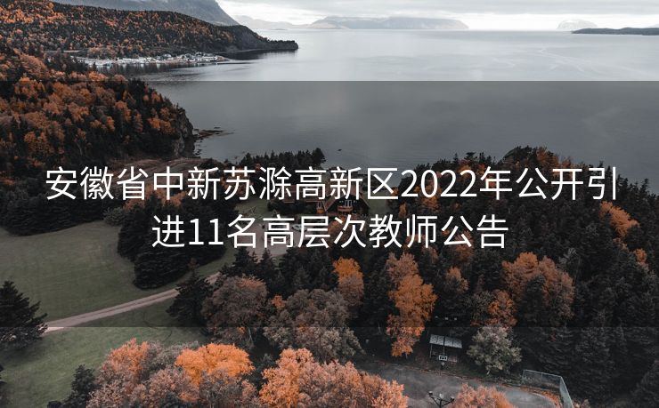 安徽省中新苏滁高新区2022年公开引进11名高层次教师公告