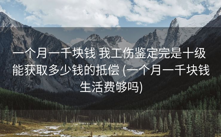 一个月一千块钱 我工伤鉴定完是十级 能获取多少钱的抵偿 (一个月一千块钱生活费够吗)