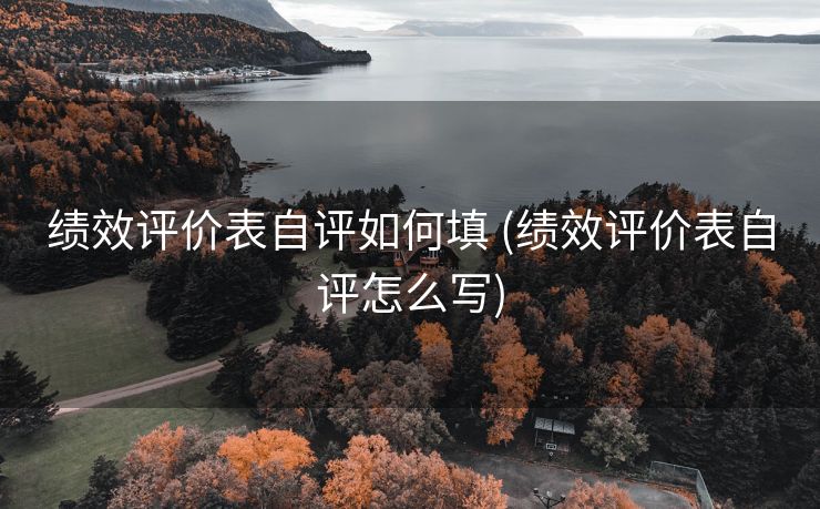 绩效评价表自评如何填 (绩效评价表自评怎么写)