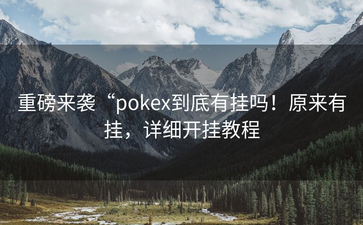 重磅来袭“pokex到底有挂吗！原来有挂，详细开挂教程