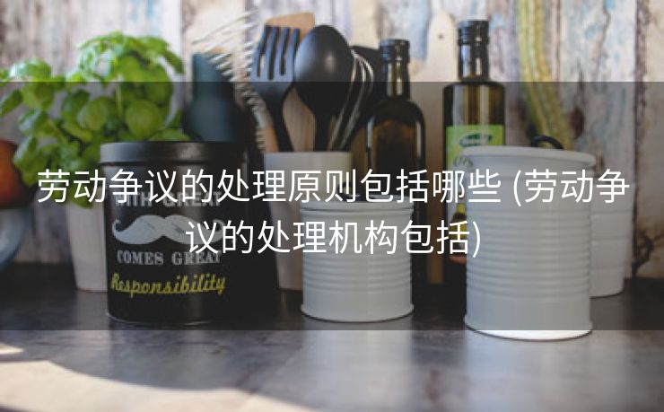 劳动争议的处理原则包括哪些 (劳动争议的处理机构包括)