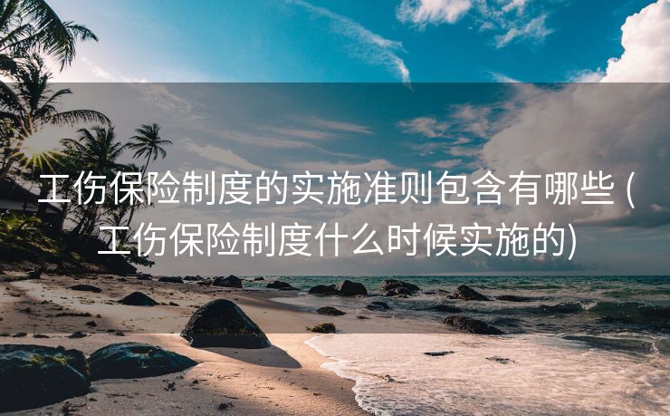 工伤保险制度的实施准则包含有哪些 (工伤保险制度什么时候实施的)