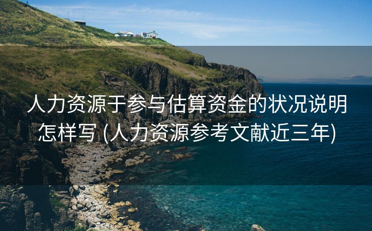 人力资源于参与估算资金的状况说明怎样写 (人力资源参考文献近三年)