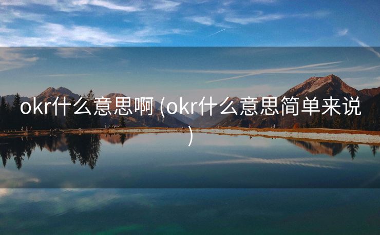 okr什么意思啊 (okr什么意思简单来说)