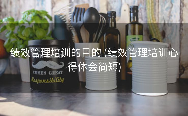 绩效管理培训的目的 (绩效管理培训心得体会简短)