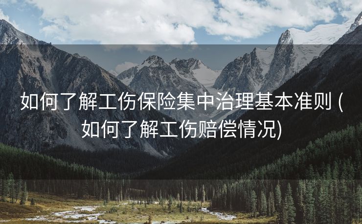 如何了解工伤保险集中治理基本准则 (如何了解工伤赔偿情况)