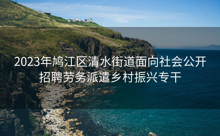 2023年鸠江区清水街道面向社会公开招聘劳务派遣乡村振兴专干