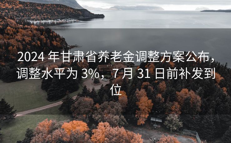 2024 年甘肃省养老金调整方案公布，调整水平为 3%，7 月 31 日前补发到位