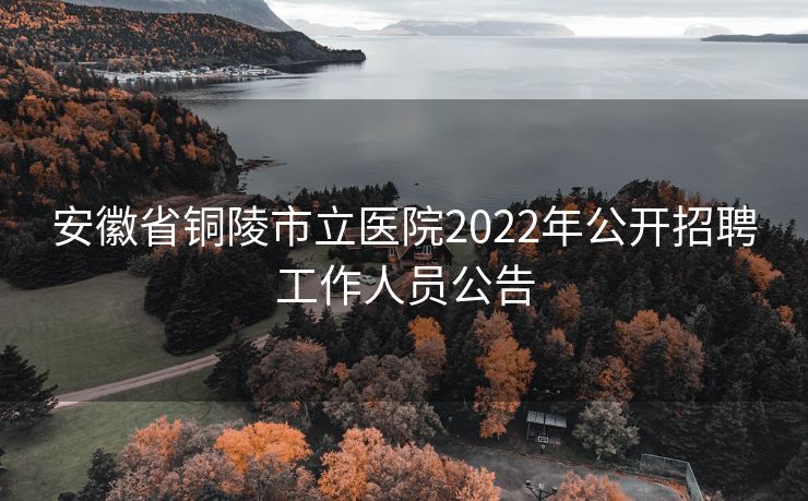 安徽省铜陵市立医院2022年公开招聘工作人员公告