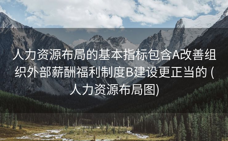 人力资源布局的基本指标包含A改善组织外部薪酬福利制度B建设更正当的 (人力资源布局图)