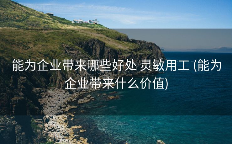 能为企业带来哪些好处 灵敏用工 (能为企业带来什么价值)